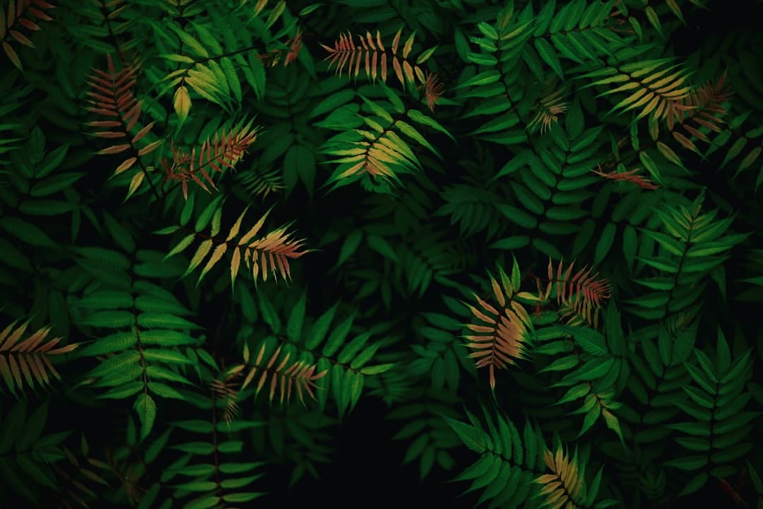 商业头条No.90